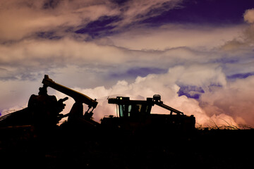 Logging Timber Harvesting 