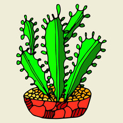Hand drawn  cactus outline icon in doodle style. Vector liner illustration for print, web, mobile and infographics isolated on white background.  