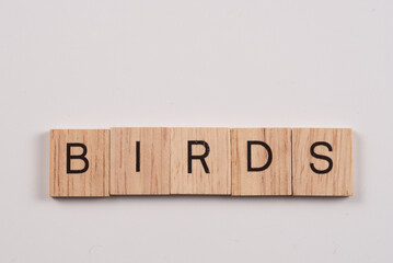 wooden tiles word birds