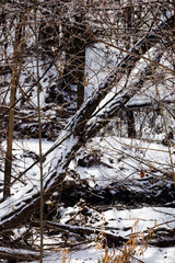Beautiful winter landscape