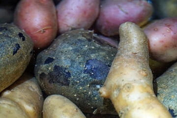 magic colorful potatoes