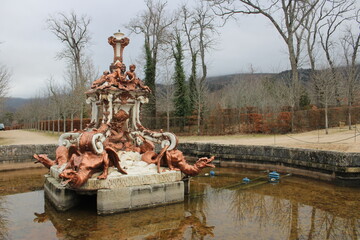 Fototapete bei efototapeten.de bestellen   