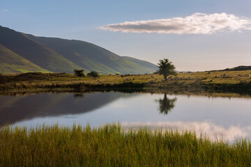 Fototapeta na wymiar Tewet Tarn and beyond, across the Greta Valley, Blencathra, near Keswick, Lake District, Cumbria, UK, on a peaceful early Summer's morning