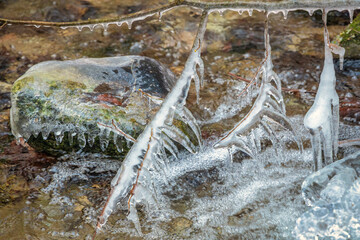 Winter landscape of a wild stream with ice formations . The Mala Fatra national park in Slovakia, Europe.