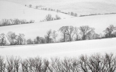 Winter landscape of snowy fields and tree lines.