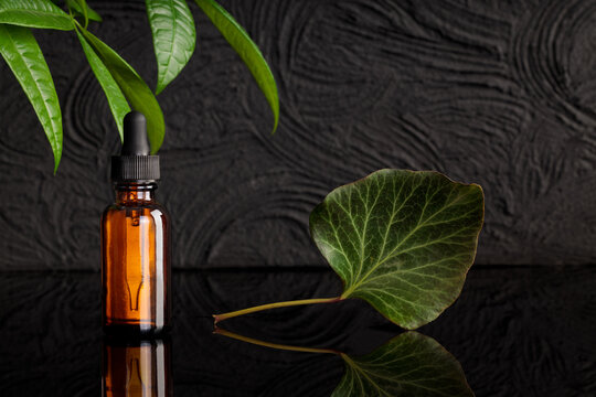Bottle with essential oil dropper for aromatherapy, black background and green leaf. Natural medicine, concept. Copy space.