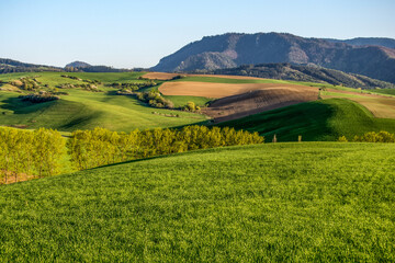 landscape with green field, spring, Turiec, Slovakia, Europa