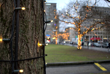  fairy lights on trees at potsdamer platz in berlin