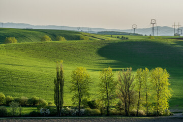 Obraz premium landscape with fields and trees, spring, Turiec, Slovakia, Europa