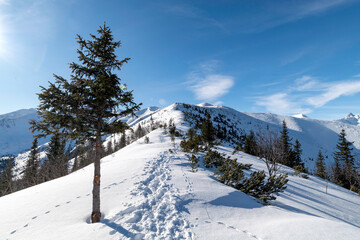 Fototapeta na wymiar Winter mountain landscape. Landscape in the Tatras.