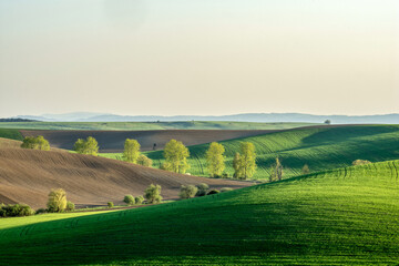 Fototapeta na wymiar landscape with field, spring, Turiec, Slovakia, Europa