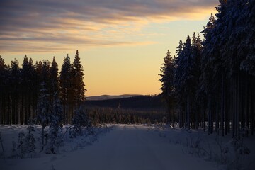 Fototapeta na wymiar Sunset in nordic winter landscape with a snowy road