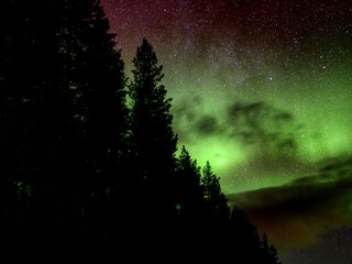 Green and red aurora borealis and clouds behind tree silhouettes