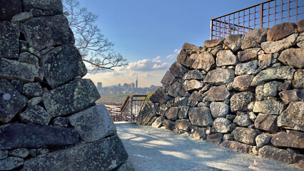 The scenery beyond the stone wall