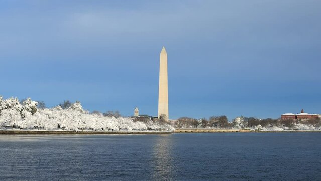 White snow covers cherry trees lining the Tidal Basin in downtown Washington, DC following a winter storm. The Washington Monument is seen against a blue sky.