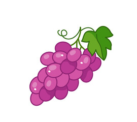 Cute purple grapes. Vector illustration of a bunch of fruit grapes in a cartoon childish style. Isolated funny clipart on white background. cute print.