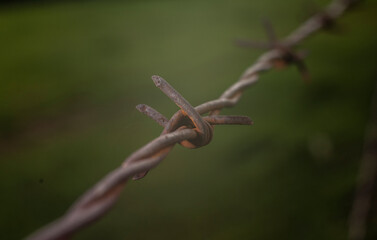 A barbed wire helps to protect a farm and a house in the countryside