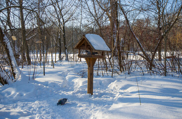 Bird feeder in winter park and pigeons
