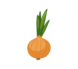 Onion. Vector illustration of a vegetable in a cartoon childish style. Isolated funny clipart on white background. cute print.