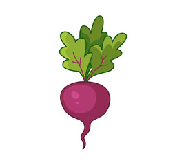 Purple beets. Vector illustration of a vegetable in a cartoon childish style. Isolated funny clipart on white background. cute print.