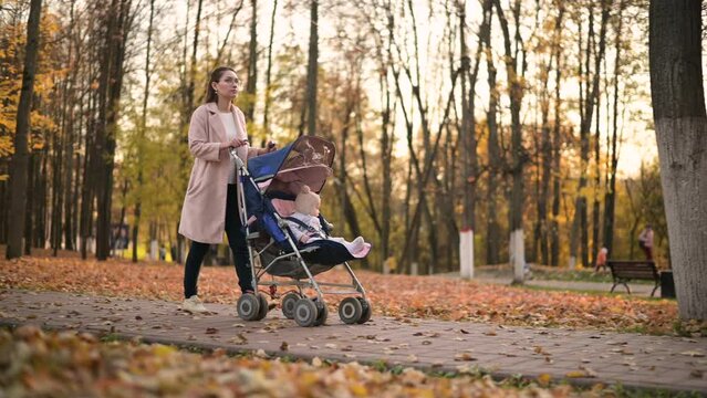 woman walks with a stroller in the autumn forest. Mom and her baby in a stroller. A walk on sunset