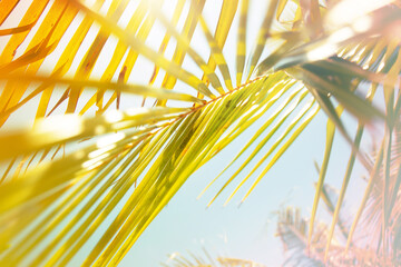 summer holidays relax tropical background