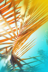 summer holidays relax tropical background