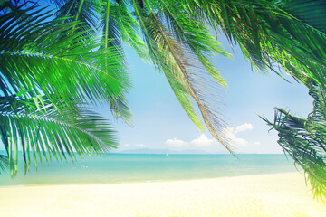 Obraz na płótnie Canvas summer holidays relax tropical background