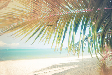 Fototapeta na wymiar summer holidays relax tropical background