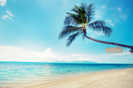 summer holidays relax tropical background