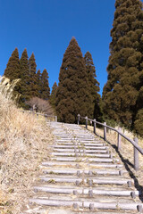 枯れ草と歩道の階段　霧島神話の里公園
