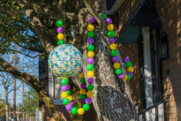 Mardi Gras decorations on a tree in New Orleans, LA, USA