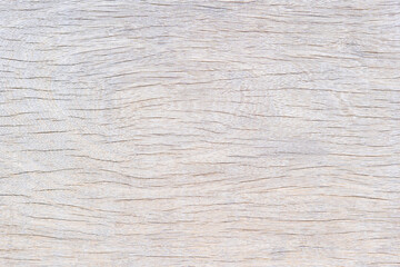 Close up gray wooden wall texture for background.
