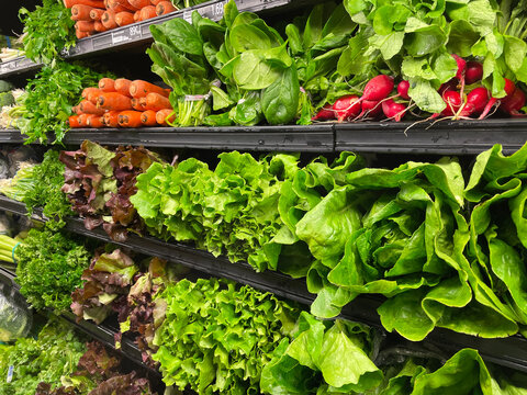 store produce department interior fresh greens wet wall side view