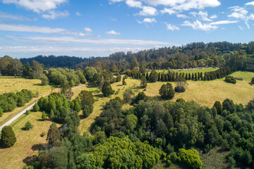 Aerial view of scenic garden in bright sunlight in Melbourne, Australia
