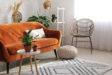 Stylish orange sofa with houseplants in modern interior of living room