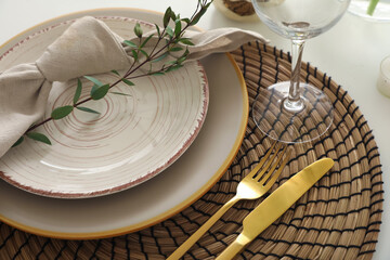 Stylish table setting with green branch, closeup