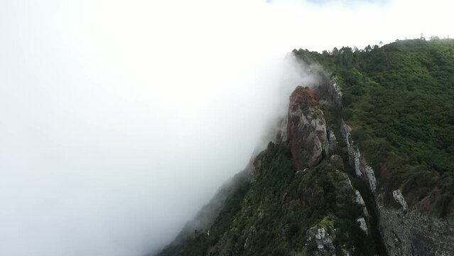 Drone shot moving down and forward, revealing the cliffside of Espigao Amorelo in Madeira with thick clouds moving and surrounding the peak. Lush and green forest on the steep side.