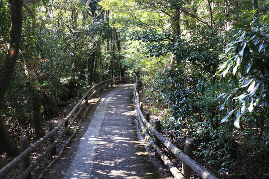 寺山公園の遊歩道