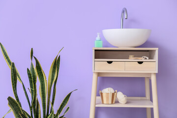 Modern sink and houseplant near violet wall