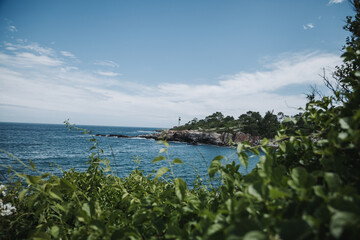 view of the sea from the beach