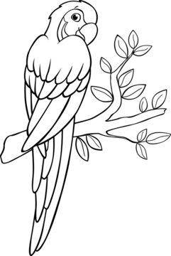 Coloring page. Cute yellow blue macaw sits and smiles.