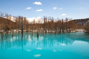冠雪の山並みと青い池
