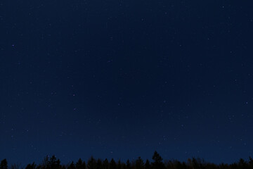 Constellation Ursa Major over the forest.