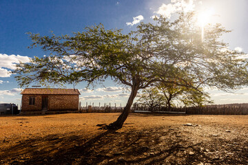 Casa simples no sertão da bahia 