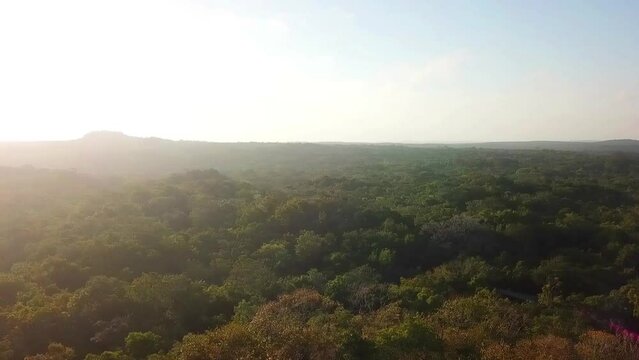 Video filmado desde un dron de la región de El Mirador, un área de selva tropical que cubre más de 1.6 millones de acres en el norte de Guatemala y el sur de Campeche, México.