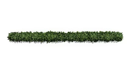 Foto op Aluminium 3D green bush tree top view isolated on white background, for use visualization in architectural design  © Keyframe's