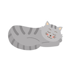 Сute sleeping gray tabby cat. Home pet. Vector illustration.