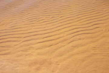 Small waves on the sand under the water of the clear sea. Yellow clean sand in the water, clean bottom of the sea. Sandy beach.