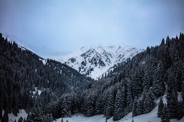 snow covered mountains in winter